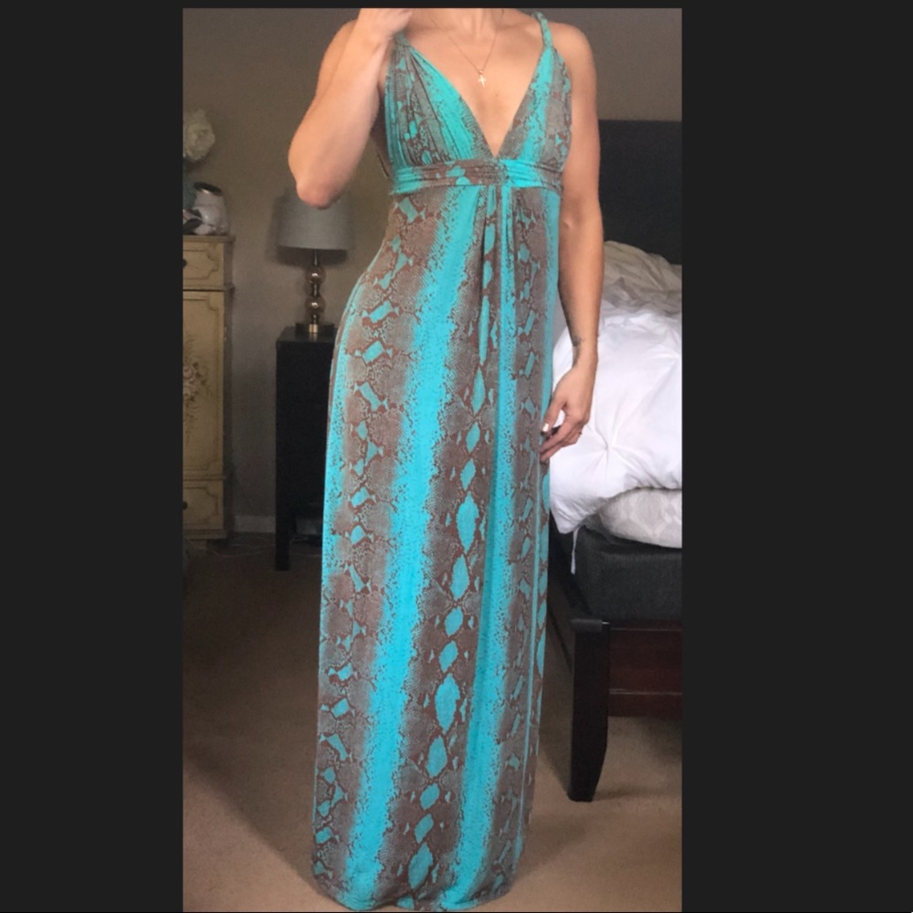 Vix Paula Hermanny, Long Snake Print Maxi Dress